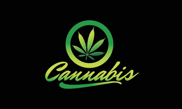 Cannabis green leaf logo design template vector