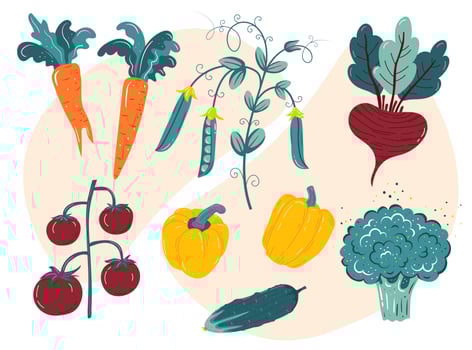 Fresh organic vegetables-pepper, peas, carrot, tomato, cucumber, broccoli, beetroot. Vector illustration, Healthy vegetarian food
