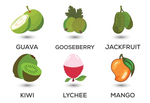 Set of fruits. Different colorful fruits. Fresh food, healthy eating concept. Vector illustration