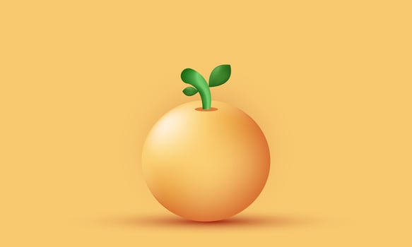 unique orange 3d fruits vegetables illustration design icon isolated on vector