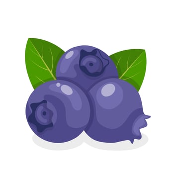 Vector illustration, blueberry with green leaves, flat style design, isolated on white background.