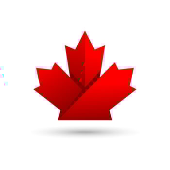Maple leaf logo. Maple leaf vector design illustration. Maple leaf symbol. Maple leaf logo template.
