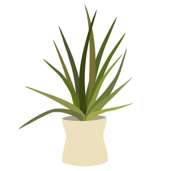 Potted house plant. Foliage houseplant growing in flowerpot. Green leaf decoration for home interior. Natural indoor decor. Hand draw vector illustration isolated on white background