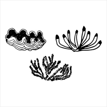 Vector set of doodles sea corals. Different shapes, different to the touch.