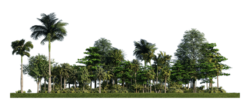 3ds rendering image of 3d rendering trees on grasses field png