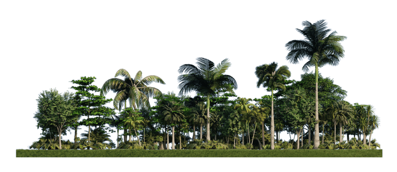3ds rendering image of 3d rendering trees on grasses field png