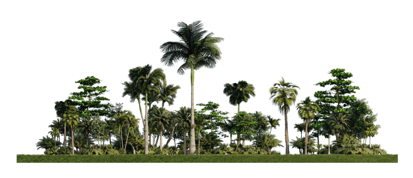 3ds rendering image of 3d rendering trees on grasses field png