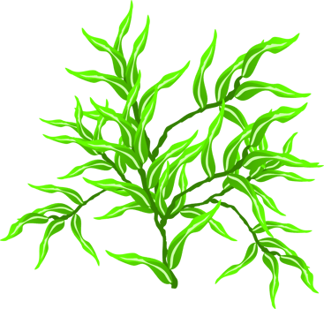 branch, tree branch, plant png
