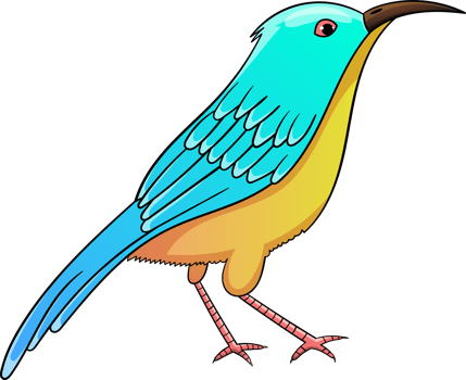 Birds clipart design illustration png