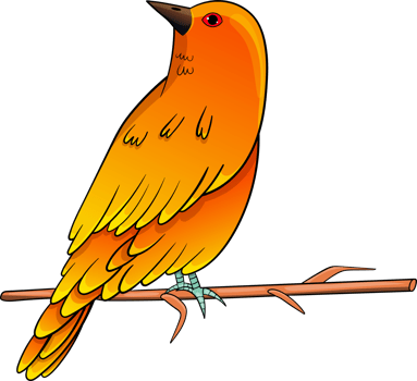 Birds clipart design illustration png