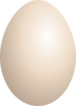 Eggs clipart design illustration png