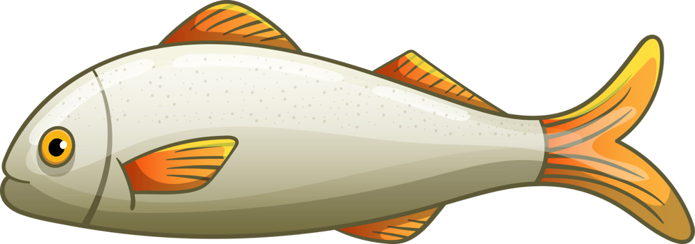 Fish drawing clipart design illustration png