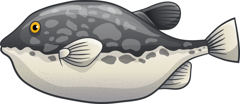 Fish drawing clipart design illustration png