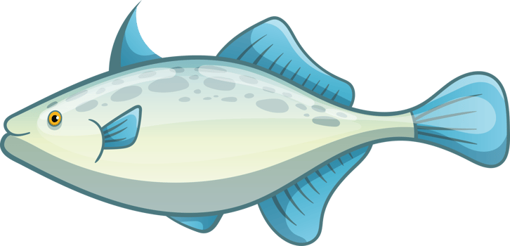 Fish drawing clipart design illustration png