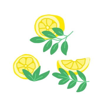 Set clip art of lemons with leaves vector