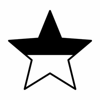 Ukraine Flag In Star Shape Icon Black and White Style vector
