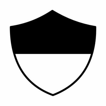 Ukraine Flag Shield Icon Black and White Style vector