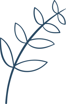 Autumn leaf clipart design illustration png