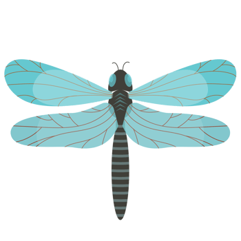 beautiful dragonflies with colorful wings png