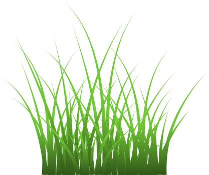 grass, green grass png