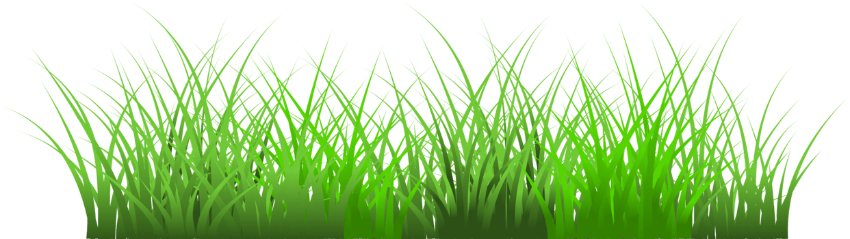 meadow, grass border png