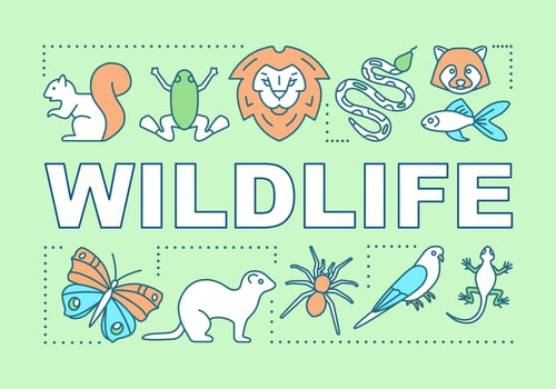 Wildlife word concepts banner. Travel experience. Wild animals observation. Jungle trip. National parks. Presentation, website. Isolated lettering typography idea, icon. Vector outline illustration
