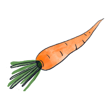 Freehand isolated orange carrot drawing png
