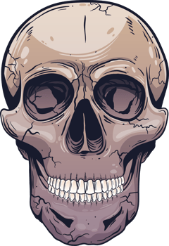 Skull clipart design illustration png