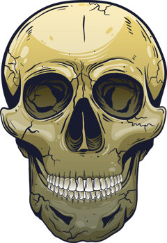 Skull clipart design illustration png