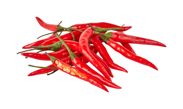red pepper isolated on white background with clipping path png