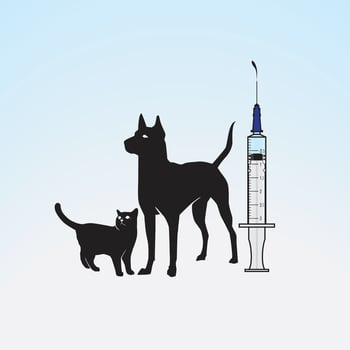 Illustration of a syringe and Cat Dog on a light blue gradation background vector