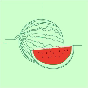 Vector of a Watermelon