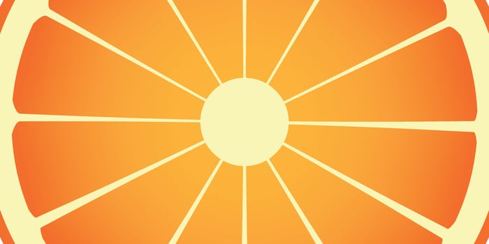 orange fruit that can be used as a background for various purposes such as posters, banners, brochures, business cards and others vector