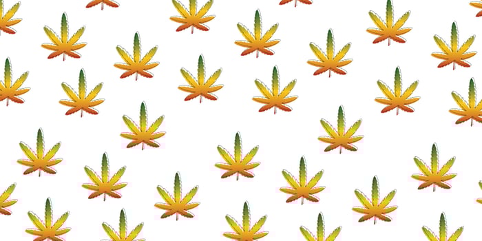 reagge jamaica with marijuana style pattern background vector