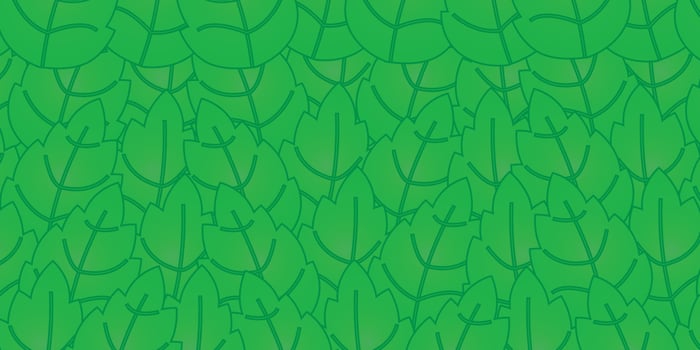Leaves pattern background with beautiful green color leaves vector