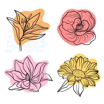 Vector line black illustration graphics flowers lily, poppy, magnolia, sunflower colors stains