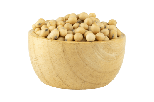 Soy beans in bowl wood png