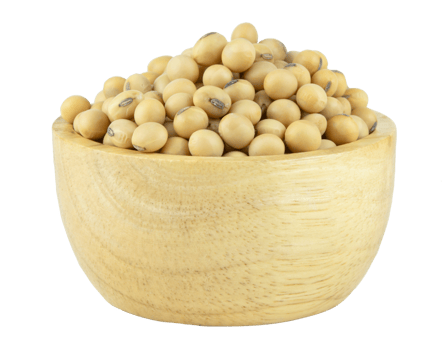 Soy beans in bowl wood png