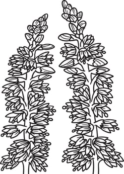 Heather Flower Coloring Page for Adults vector