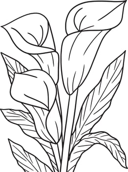 Zantedeschia Flower Coloring Page for Adults vector
