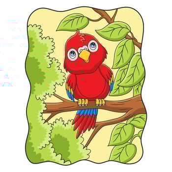 cartoon illustration the parrot is perching on a big and tall tree trunk and looking up at the clouds vector