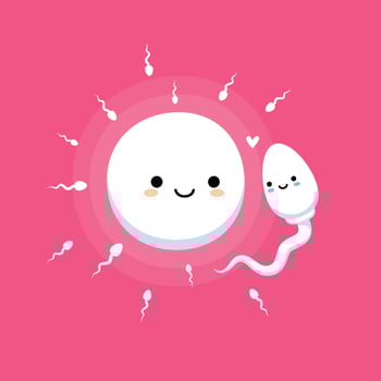 The Cute Sperm and Cute Ovum in pink background. vector