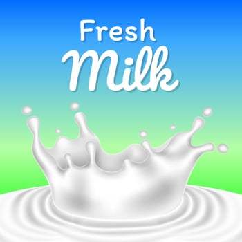 Realistic splash or drop fresh milk illustration vector