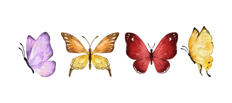 Colorful butterflies watercolor isolated on white background. Purple, orange, yellow and red butterfly. Spring animal vector illustration
