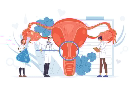 Gynecologist doctor team make uterus examination vector