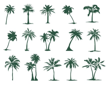 A set of silhouettes of Palm trees,15 pieces. Tropical palm tree silhouette for your art vector