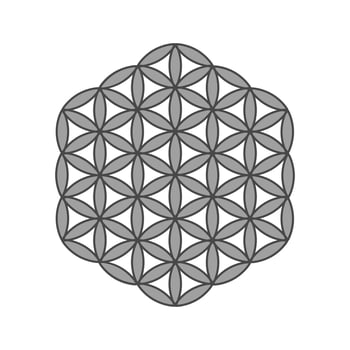 Symbol Flower of life. The flower of life is a symbol of sacred geometry and the universal forgotten language of the universe. vector
