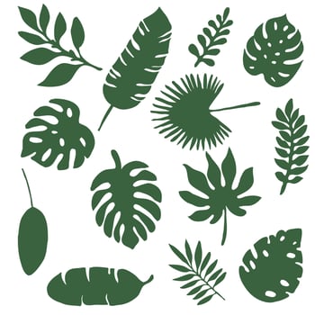Set of tropical foliage silhouettes, 13 pieces. vector