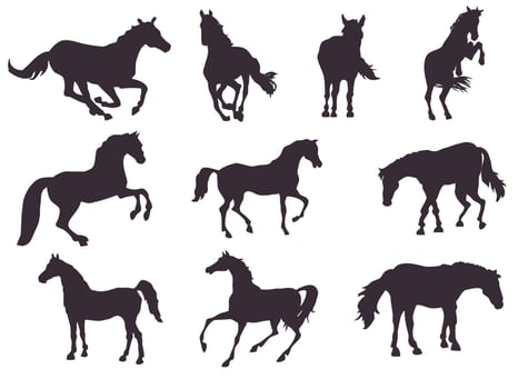 Set of horse silhouettes vector