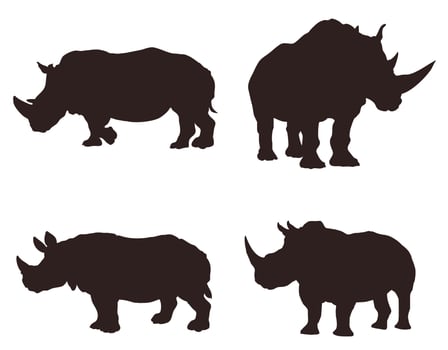 Set of silhouettes of African animals rhinoceros. vector